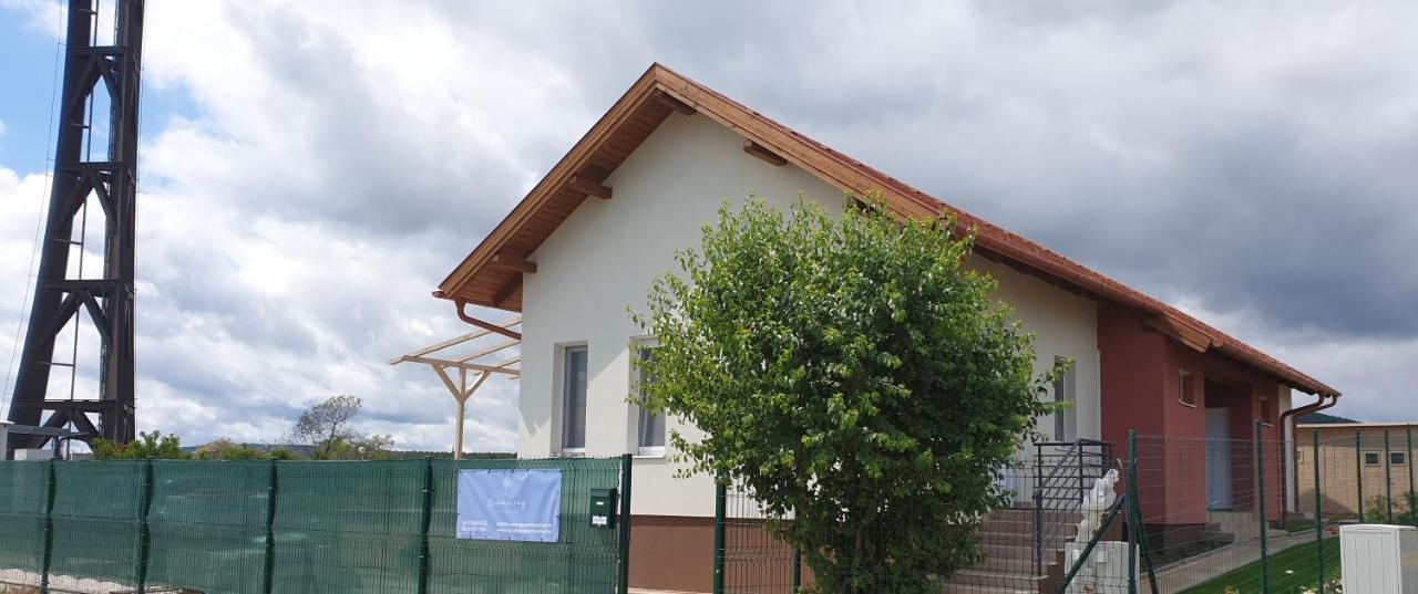 Buzavirag Apartmanhaz Balatonakali Exterior foto